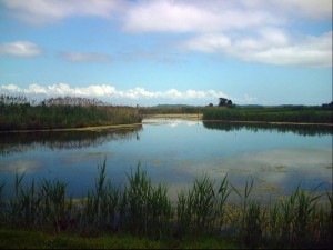 Delaware Estuary