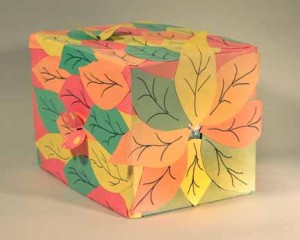 pinhole_camera